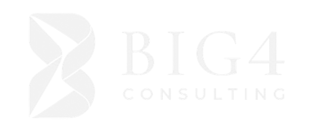 BIG 4 CONSULTING GROUP